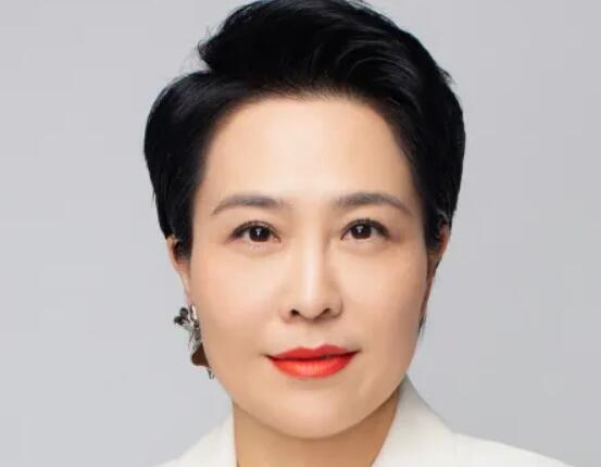 上海新沪商联合会