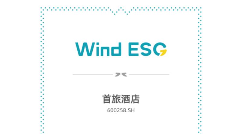 上海新沪商联合会