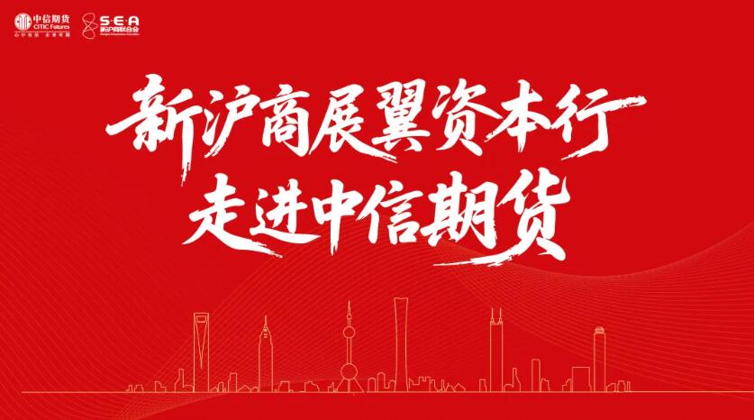 上海新沪商联合会